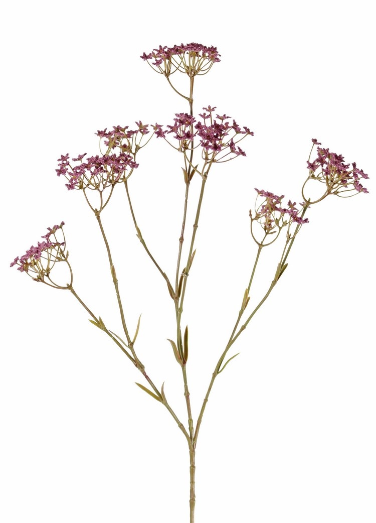Gypsophila, 9 flores (4x L / 3x M /2x S), 70 cm