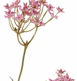Gipskraut (Gypsophila) 3 Verzweigungen, 9 Blumenstände (4x L / 3x M /2x S), 70 cm