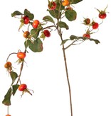 Rozenbotteltak (Rosa rugosa), 18 bottels (12x L / 6x M) & 6 sets blad (20st), (1stk. in zak), 105 cm