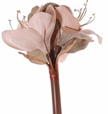 Amaryllis 'Glamour', 3 Blüten Ø 9 cm, H. 14 cm, (Samt & Polyester), goldene Blütenstempel,  69 cm