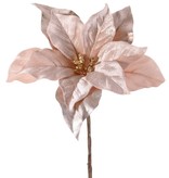 Kerstster (Poinsettia) 'Glamour', 1 bloem (Ø 23 cm, H. 5 cm), (velvet & polyester) gouden bloemhart, 55 cm