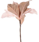 Kerstster (Poinsettia) 'Glamour', 1 bloem (Ø 23 cm, H. 5 cm), (velvet & polyester) gouden bloemhart, 55 cm