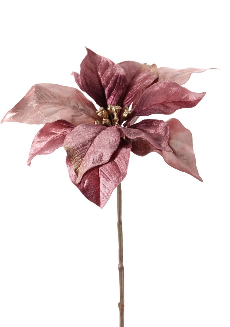 Poinsettia (Christmas flower) 'Glamour', 1 flower (Ø 23 cm, H. 5 cm), (velvet & polyester) golden flower heart, 55 cm