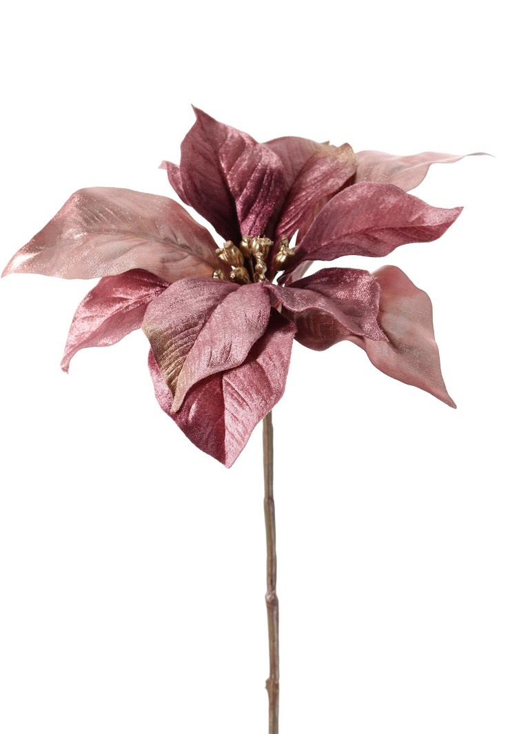 Poinsettia, Christstern, Weihnachtsstern 'Glamour', 1 Blume (Ø 23 cm, H. 5 cm), (Samt & Polyester) mit goldenem Blumenherz, 55 cm
