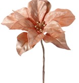 Kerstster (Poinsettia) 'Glamour', 1 bloem (Ø 23 cm, H. 5 cm), (velvet & polyester) gouden bloemhart, 55 cm