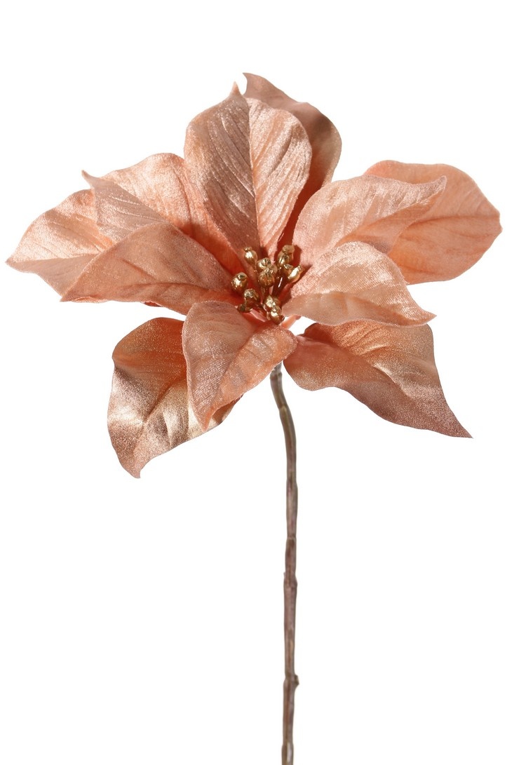 Poinsettia (Christmas flower) 'Glamour', 1 flower (Ø 23 cm, H. 5 cm), (velvet & polyester) golden flower heart, 55 cm