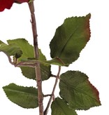 Roos (Rosa) 'Glamour', 1 bloem (Ø 12 cm, H. 7 cm, velvet & polyester), 2 sets blad (8 stk.), 61 cm