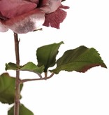 Rose 'Glamour', 1 Blume: Ø 12 cm, H. 7 cm, Samt & Polyester, 2 Blattsets mit insgesamt 8 Blättern, 61 cm