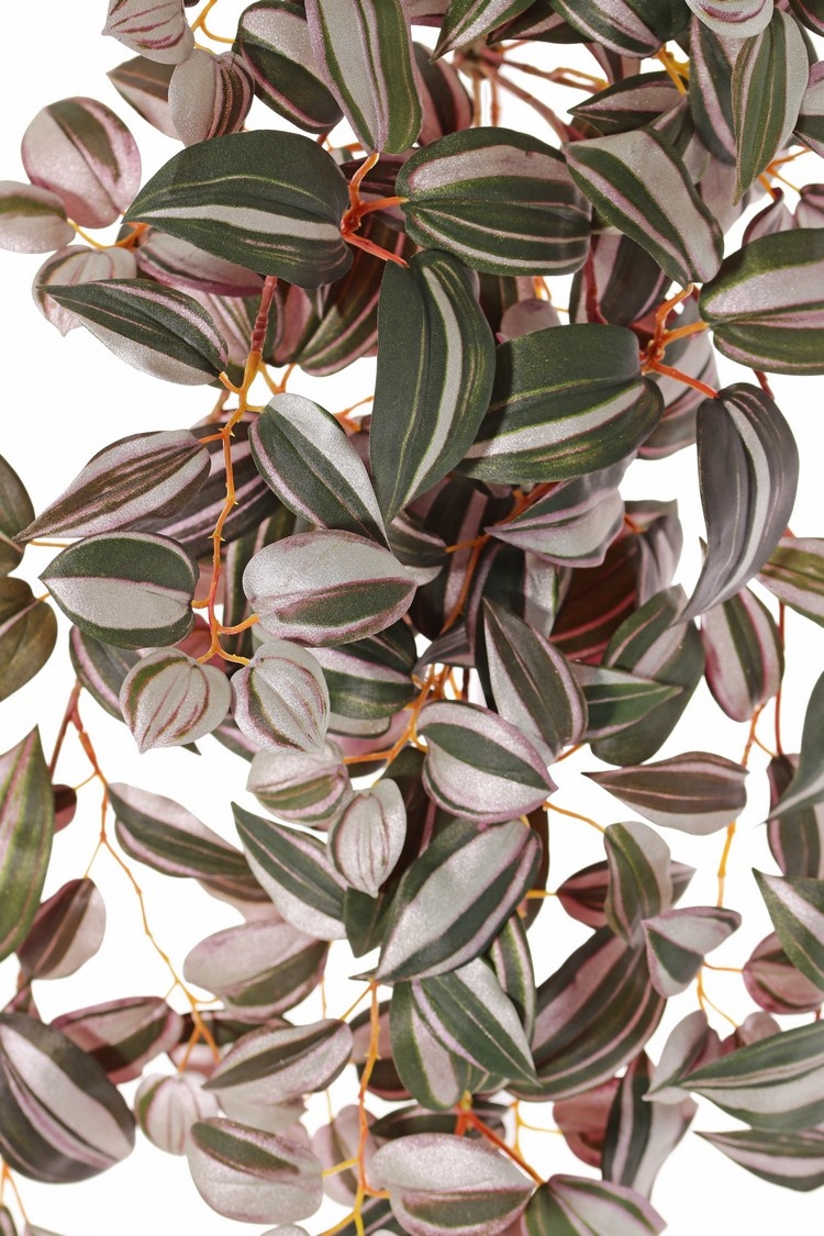 Tradescantia zebrina (sin.:Zebrina pendula), 198 hojas, Ø 45 cm, largo 55 cm, retardante de fuego