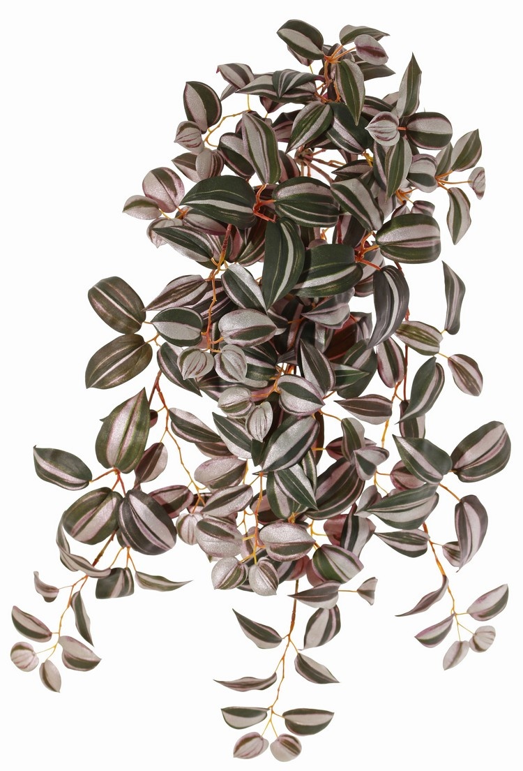 Tradescantia zebrina (Vaderplant), 8 uitlopers, 198 blad, Ø 45 cm, L. 55 cm, brandvertragend