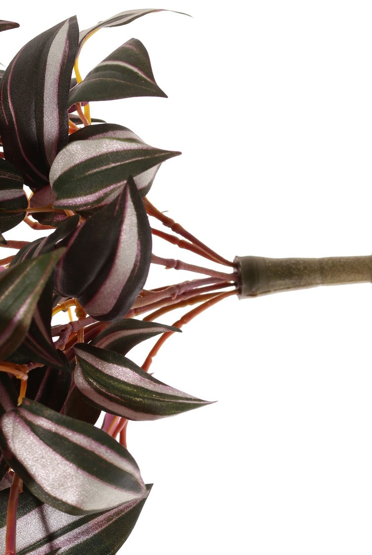 Tradescantia zebrina (inch plant, wandering jew), 198 leaves, Ø 45 cm, L. 55 cm, fire retardent