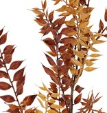 Ruscus (Mäusedorne) Blattzweig, 2x verzweigt, 18 Blattbüschel (460 Blätter), 95 cm