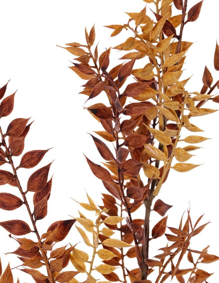 Ruscus, 460 leaves, 95 cm