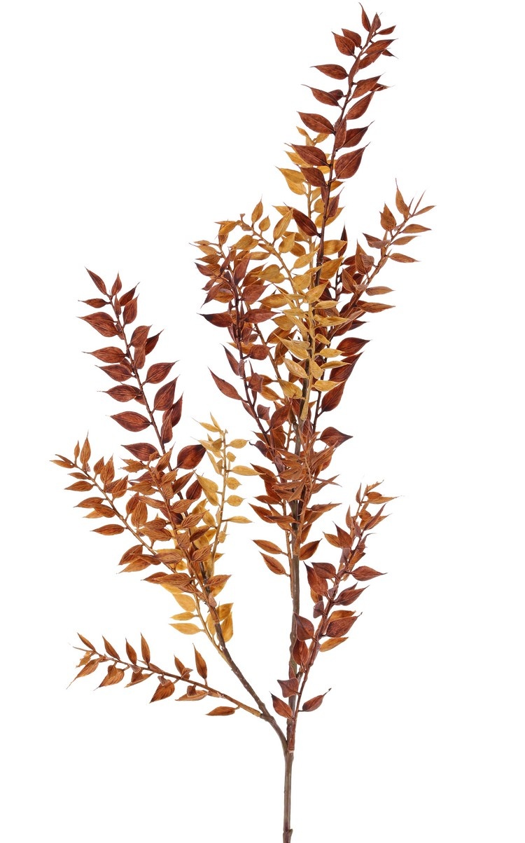 Ruscus (Mäusedorne) Blattzweig, 2x verzweigt, 18 Blattbüschel (460 Blätter), 95 cm