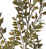 Ruscus, 460 hojas, 95 cm