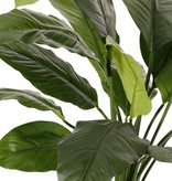 Spathiphyllum (Lepelplant) 'de luxe', 16 bladeren, h. 90cm, Ø 90 cm - brandvertragend