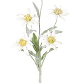 Edelweiss (Leontopodium Alpinum) x5flrs Ø6CM,x10lvs 6/4cm, flocked item 37cm