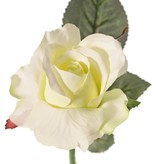 Rose Alice de luxe kurz 30cm