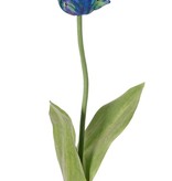 Tulip (Tulipa) parrot 'Garden Art', Ø 6 cm, h: 8,5 cm, with 2 leaves (feel real) 21 x 7,5 cm, 64 cm