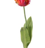 Tulip (Tulipa) parrot 'Garden Art', Ø 6 cm, h: 8,5 cm, with 2 leaves (feel real) 21 x 7,5 cm