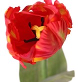 Tulip (Tulipa) parrot 'Garden Art', Ø 6 cm, h: 8,5 cm, with 2 leaves (feel real) 21 x 7,5 cm