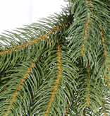 Douglas corona de pinus "Serfaus", 63 Tips,  Ø 40cm