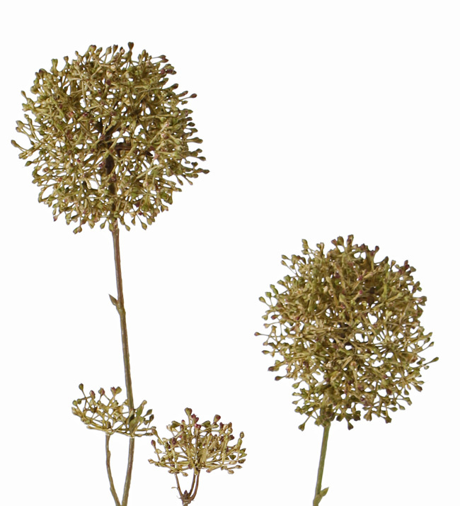 Skimmia-Dekozweig 'Autumn Breeze', groß, 5 Verzweigungen, 8 Blütenstände, (2x groß / 2x mittel / 4x klein), 90 cm