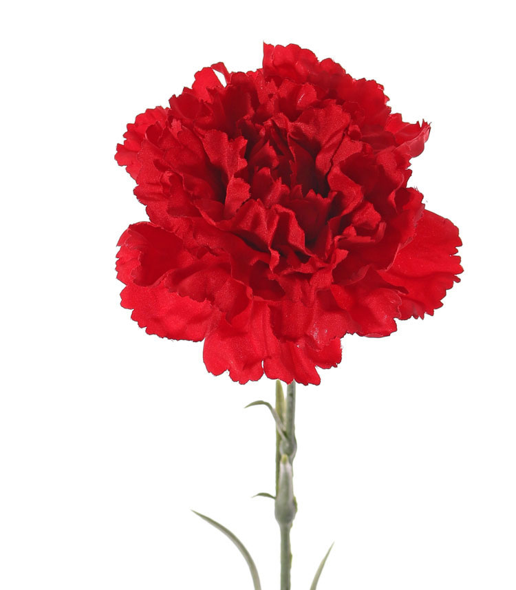 Carnation, plastic buds and leaves, 60cm