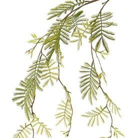 Mimosa (Acacia dealbata) bladtak x3, 29 plastic bladtoeven, 110 cm