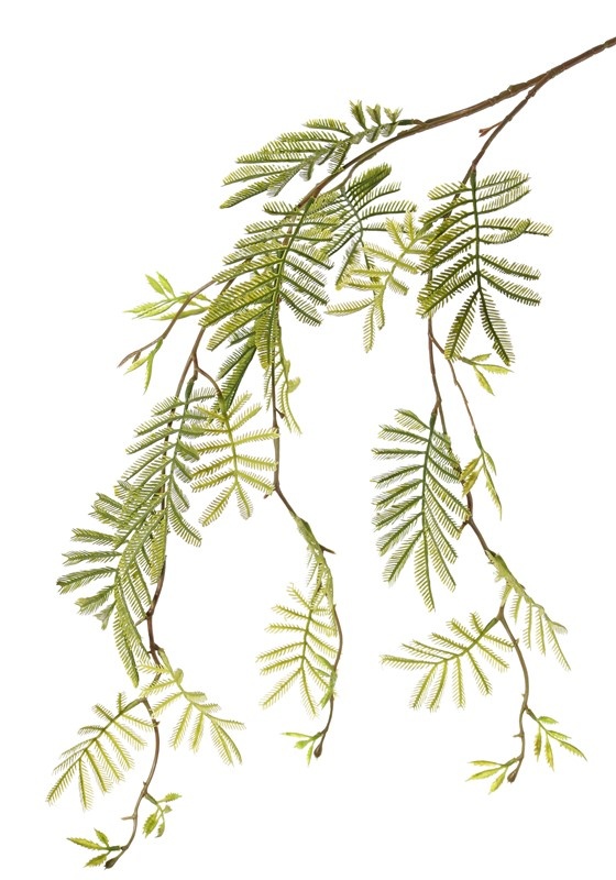 Mimosa (Acacia dealbata) bladtak x3, 29 plastic bladtoeven, 110 cm