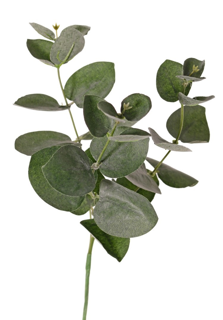 Eucalyptus pick x3, 28cm