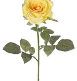 Rosa 'Nova', flor: Ø 10 cm, a. 6 cm & 19 hojas, 75 cm