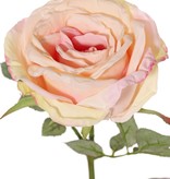 Rose 'Nova', flower: Ø 10 cm, h. 6 cm & 4 sets of leaves, in total 19 pieces, 75 cm