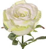 Rose 'Nova', flower: Ø 10 cm, h. 6 cm & 4 sets of leaves, in total 19 pieces, 75 cm