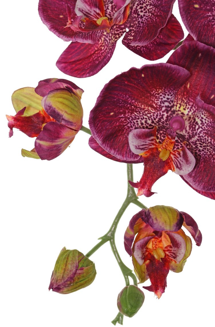 Phalaenopsis (Vlinderorchidee) 'Garden Art', 9 bloemen & 2 bloemknoppen (1 plastic), 102 cm