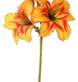 Taglilie (Hemerocallis), 'Garden Art', 2 Blüten (Ø 11 cm, H. 5 cm) & 6 Knospen, 65 cm