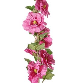 Alcea Rosea (hollyhock) "Spring Dream"