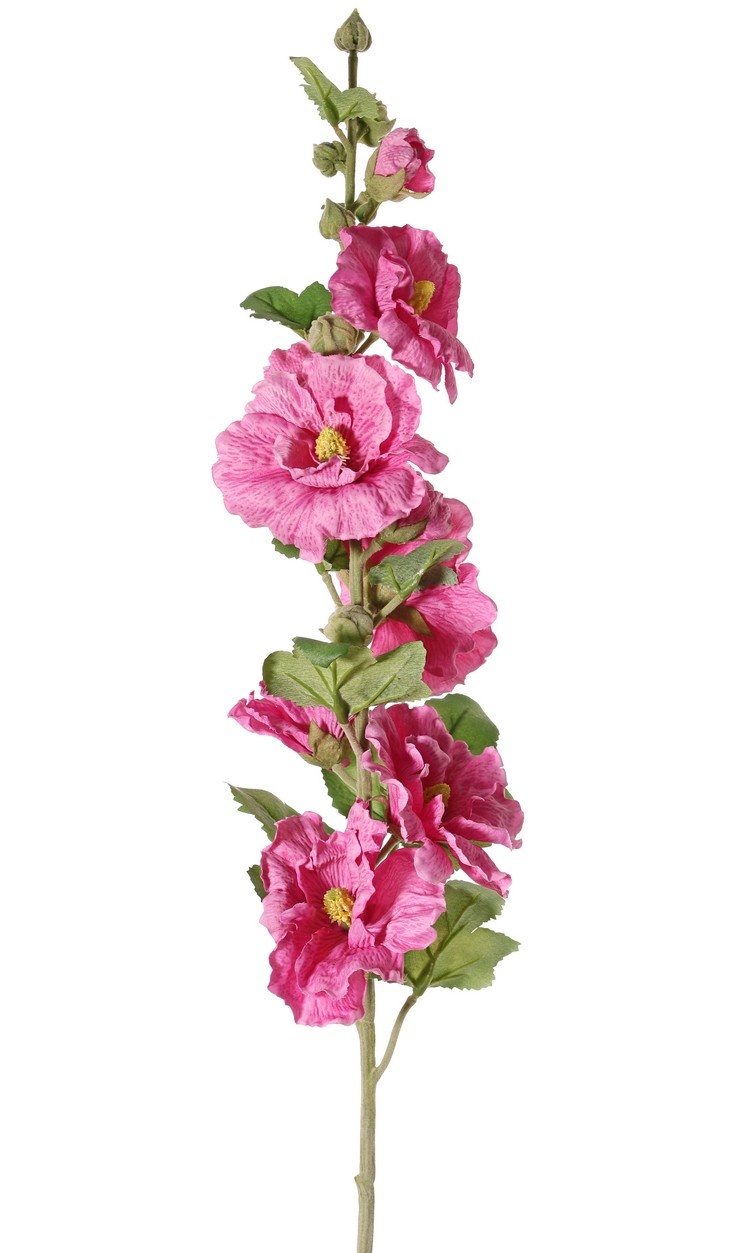 Alcea Rosea (hollyhock) "Spring Dream" x9flrs, x7buds, x9lvs, 87cm