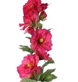 Alcea Rosea (hollyhock) "Spring Dream" x9flrs, x7buds, x9lvs, 87cm