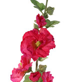 Alcea Rosea (hollyhock) "Spring Dream" x9flrs, x7buds, x9lvs, 87cm