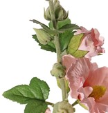 Alcea rosea, malva real, "Spring Dream", 9 flores, 7 capullos,  9 hojas, flocked stem, 87cm