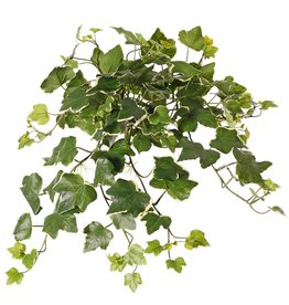 Hedera Efeu Gala, 13 Verzweigungen, 133 Blätter, 48 cm, UV-sicher