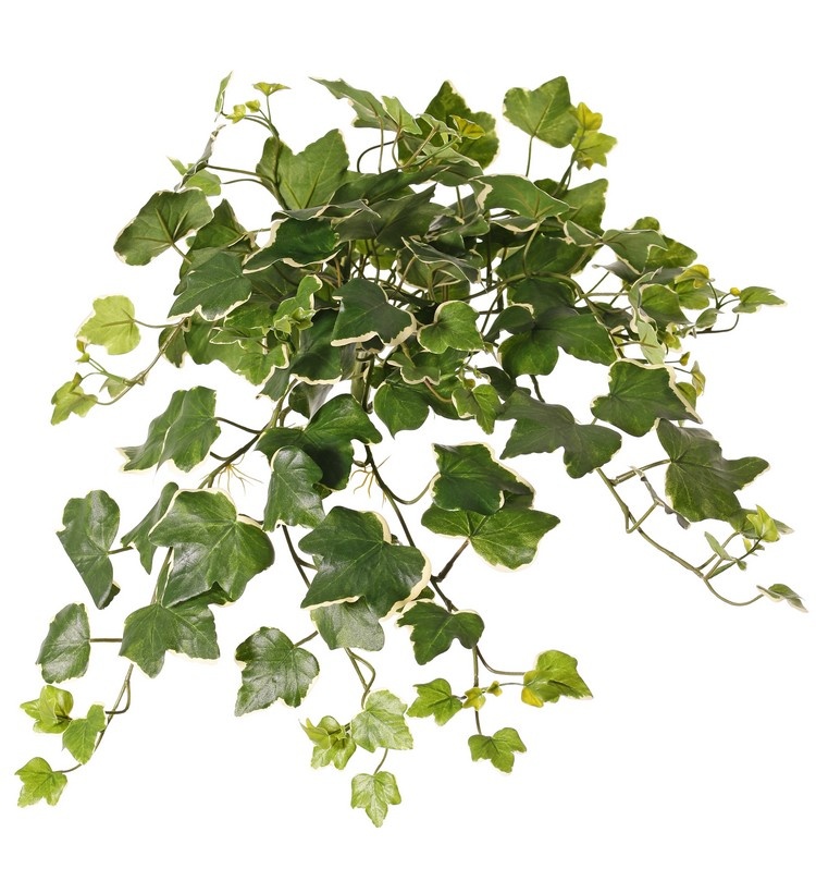 Ivy gala 133 leaves, 48cm UV safe