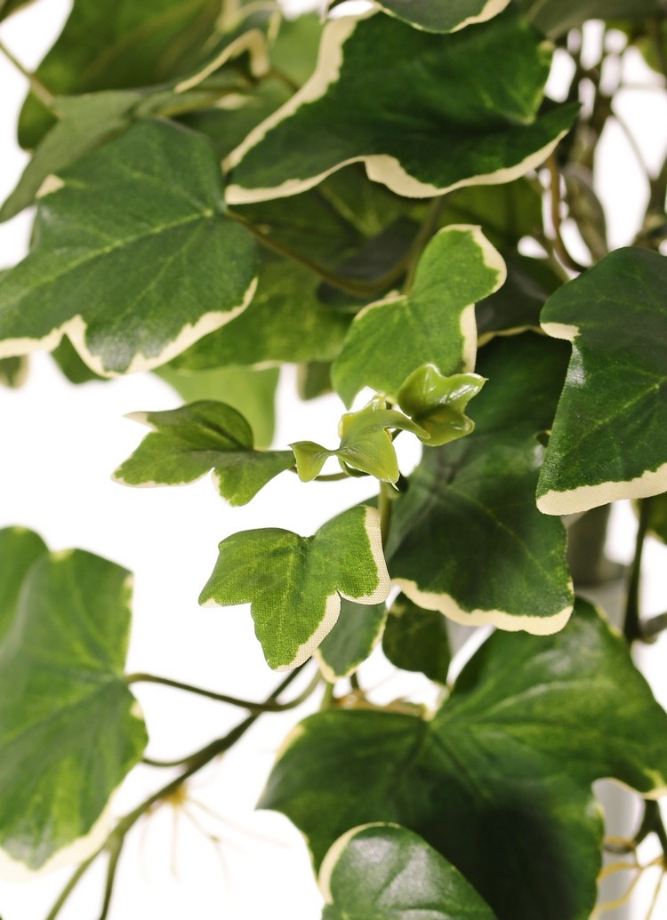 Ivy gala 133 leaves, 48cm UV safe