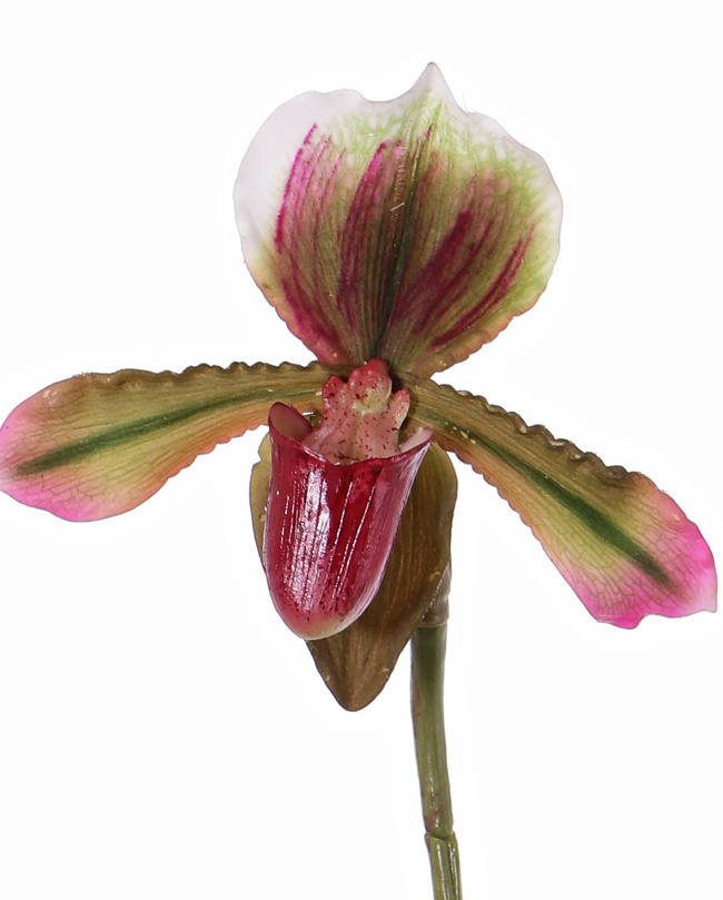 Venusschoen (Paphiopedilum) met 1 bloem en 3 blad, REALTOUCH, 40cm