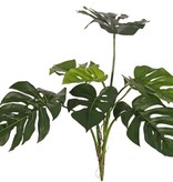 Monstera deliciosa, 8 hojas, resistente de rayos UV, a. 75 cm