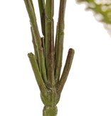 Breitblättriger Dornfarn (Dryopteris) mit 6 Plastikfarnwedeln, (25 x 30 cm), 70 cm