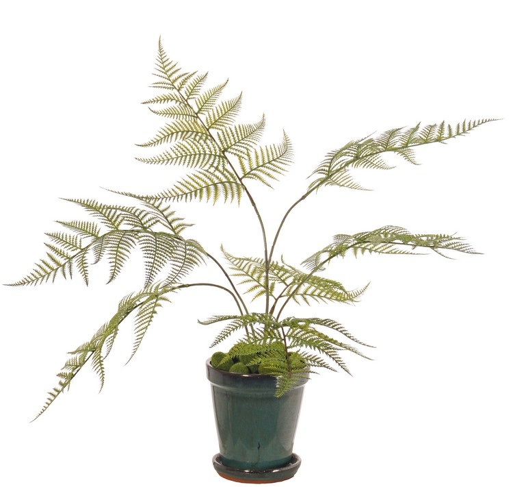 Helecho (Dryopteris) con 6 hojas de plástico, (25 x 30 cm), 70 cm