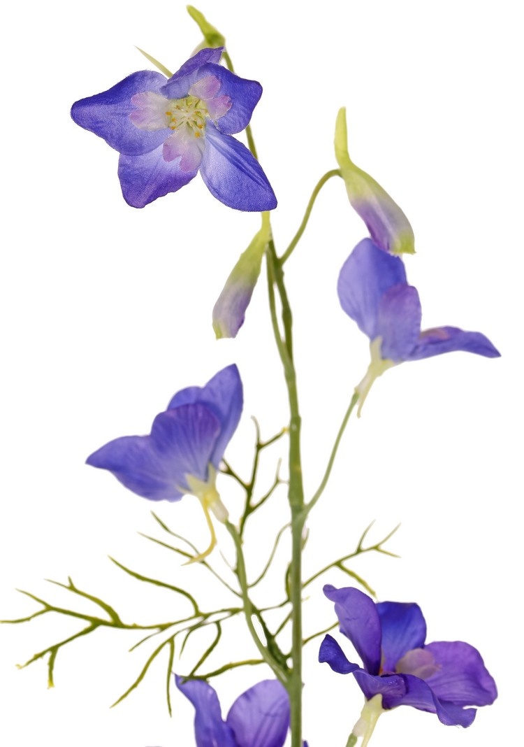 Delphinium (Ridderspoor) 2x vertakt, met 12 bloemen (4L/4M/4Sm), 7 knopjes (3cm) & 7 bladeren, 96 cm