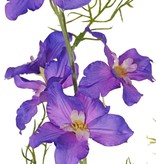 Delphinium, 12 flores, 7 capullos (3cm) & 7 hojas, 96 cm